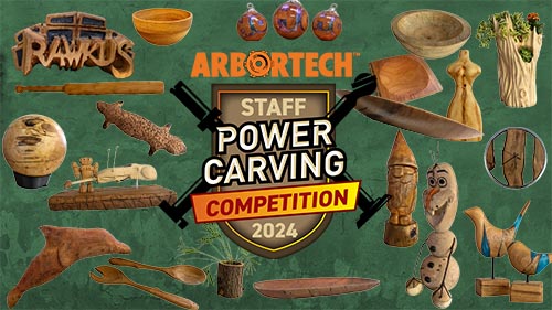 Arbortech Staff Power Carving Competition 2024